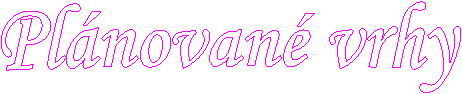 Pl�novan� vrhy