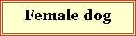 Textov� pole: Female dog