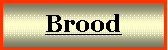 Textov� pole: Brood
