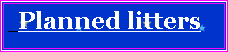 Textov� pole:  Planned litters
