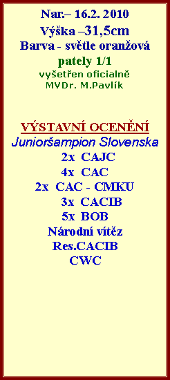 Textov� pole: Nar.� 16.2. 2010V��ka �31,5cm Barva - sv�tle oran�ov�pately 1/1vy�et�en oficialn�MVDr. M.Pavl�kV�STAVN� OCEN�N� Junior�ampion Slovenska  2x  CAJC4x  CAC 2x  CAC - CMKU    3x  CACIB 5x  BOBN�rodn� v�t�zRes.CACIBCWC